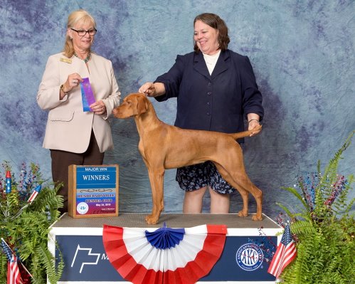 Kermi', Vizcaya's Rainbow Connection